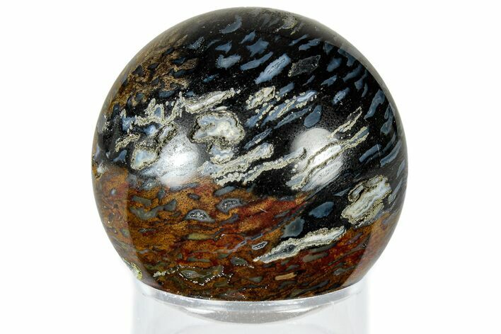 Polished Petrified Palm Root Sphere - Indonesia #308998